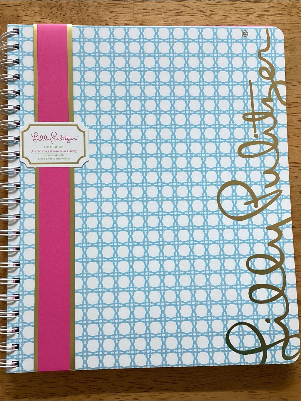 Lilly Pulitzer 9” x 11” Notebook Frenchie Blue Caning Print